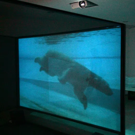 See art at Lucky Plaza and Far East Shopping Centre from Oct 31 to March 29, 2026.