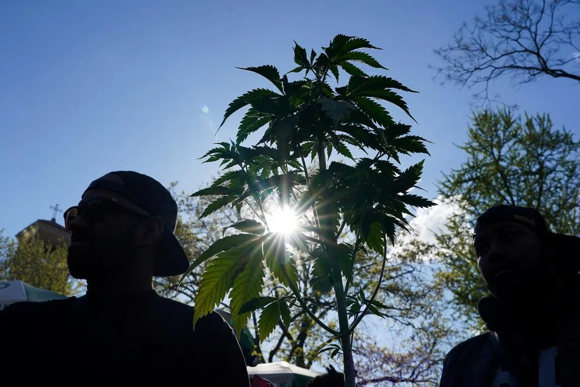 The shift would not legalise marijuana outright for recreational use.