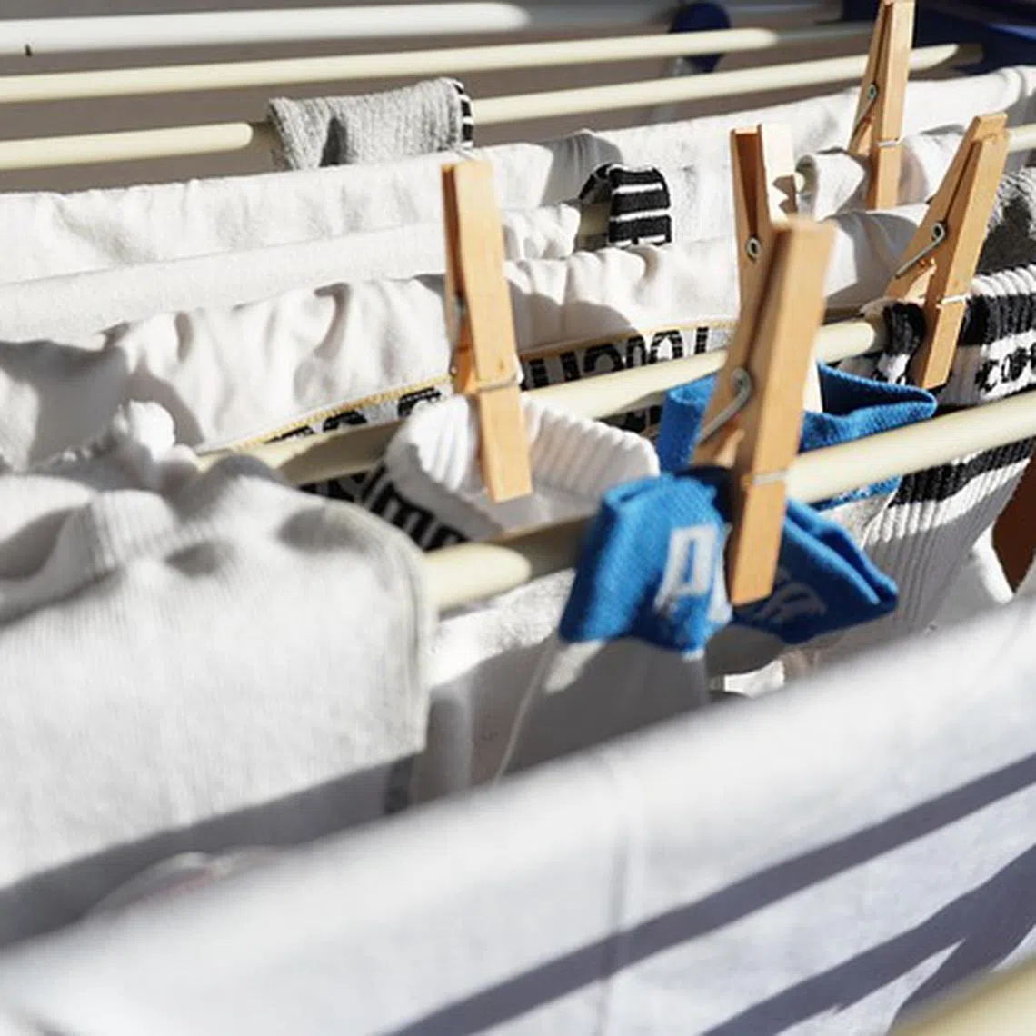 Swathes of Gen Z-ers are enrolling in ‘Adulting 101’ - a course designed to teach students day-to-day life skills.