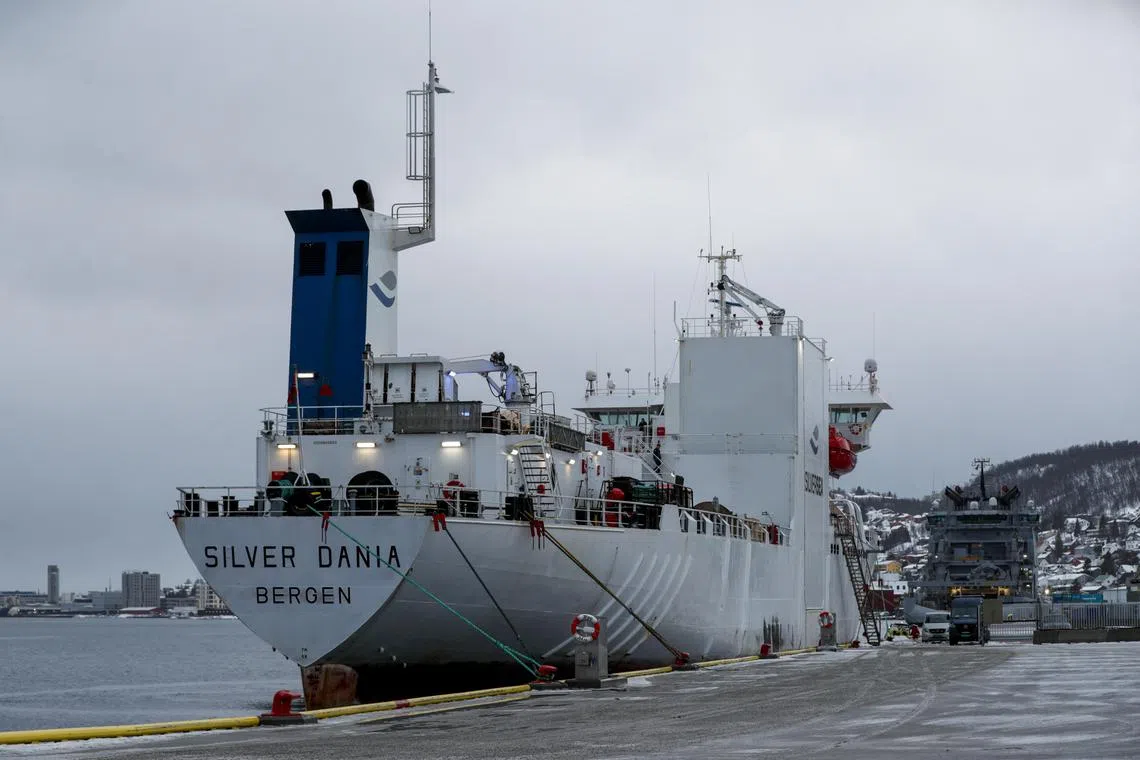 epa11866222 The Norwegian-owned ship Silver Dania, suspected of cable sabotage in the Baltic Sea, is docked at the port of Tromso for investigation, Norway, 31 January 2025. The crew of the Norway-flagged ship, reportedly Russian citizens, suspected of involvement in sabotage against a fiber-optic cable in the Baltic are cooperating with Norwegian authorities.  EPA-EFE/Rune Stoltz Bertinussen  NORWAY OUT