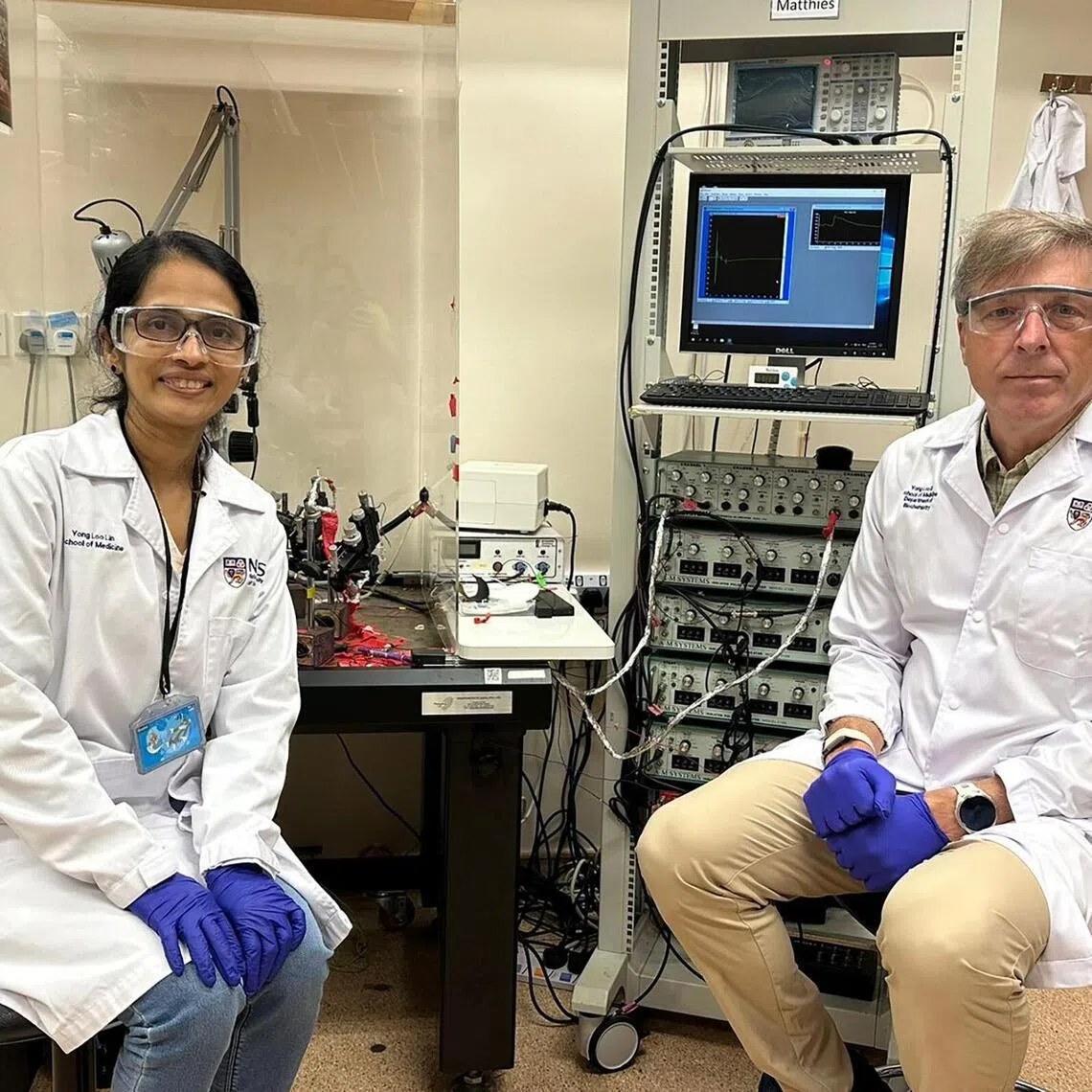 jtaging - Dr Sheeja Navakkode and Prof Brian Kennedy, in the Healthy Longevity Translational Research Programme’s laboratory.

CREDIT: NUS MEDICINE