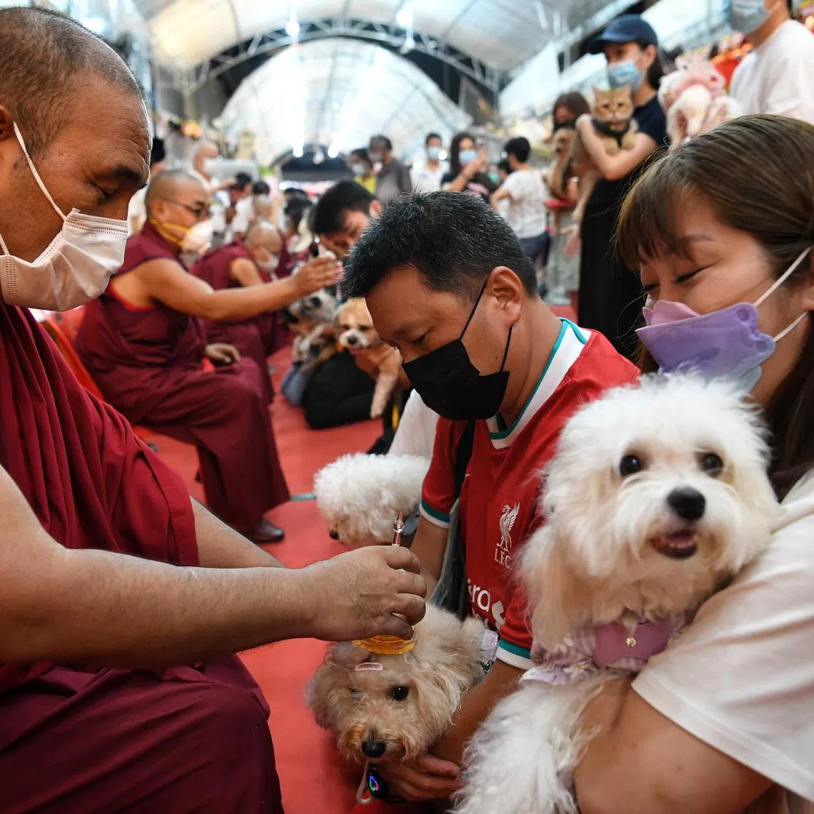 Devotees and their pets seek blessings from the monks at Thekchen Choling temple on May 14, 2022.