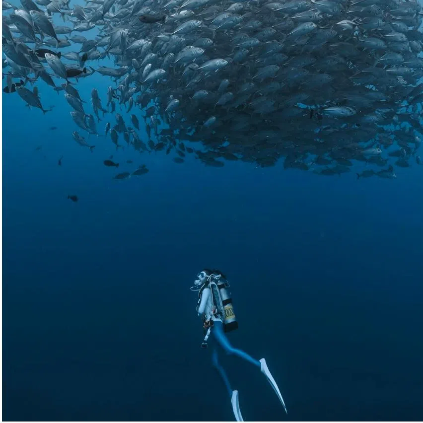 Palau is known as one of the world’s best dive spots, often mentioned in the same breath as the Maldives and Galápagos Islands for its marine biodiversity. 