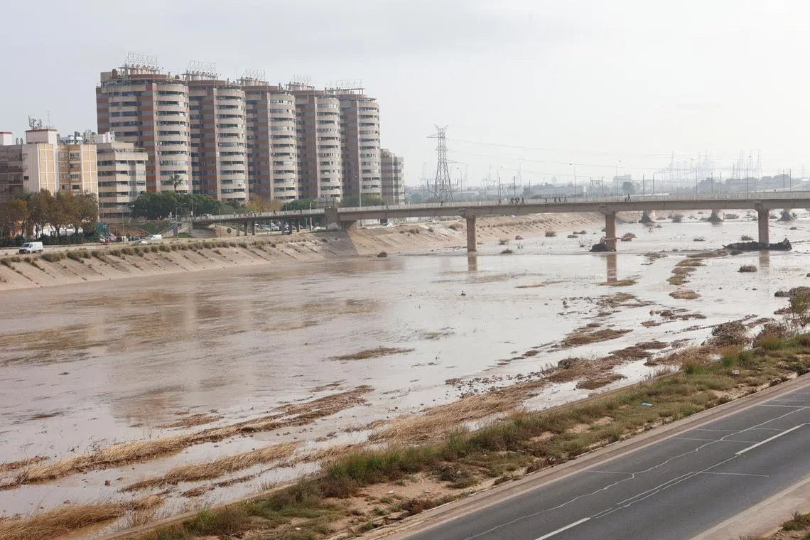 People walk on one of the bridges over the new Turia riverbed that connects Valencia with the towns in the south of the metropolitan area in Valencia, Spain, November 6, 2024. REUTERS/ Eva Manez/File Photo