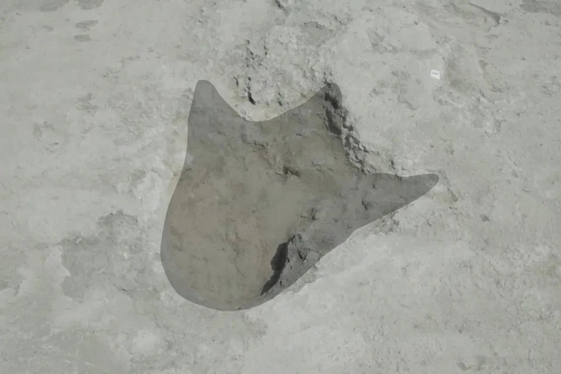 A screengrab from an Oxford University video shows the outline of a carnivorous megalosaurus, which had distinctive three-toed feet with claws.