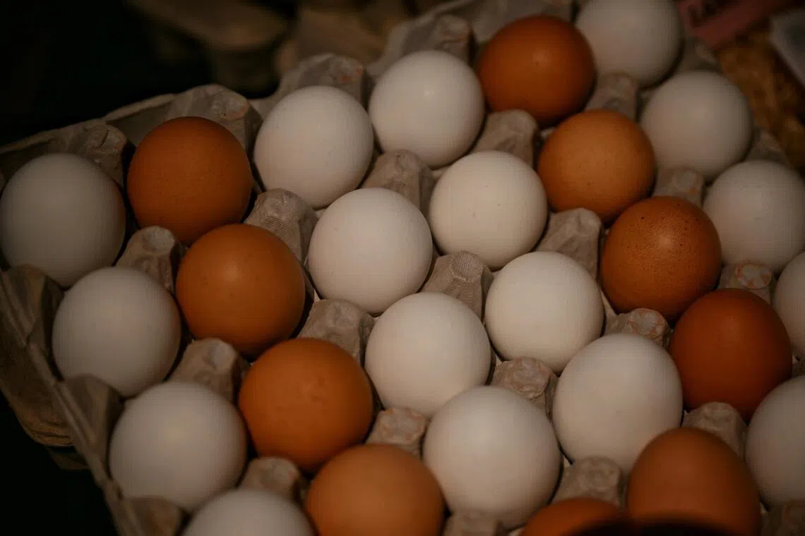 In all, 1,589,577 dozen eggs were covered by the recall, and included both white shell eggs and brown cage free shell eggs.