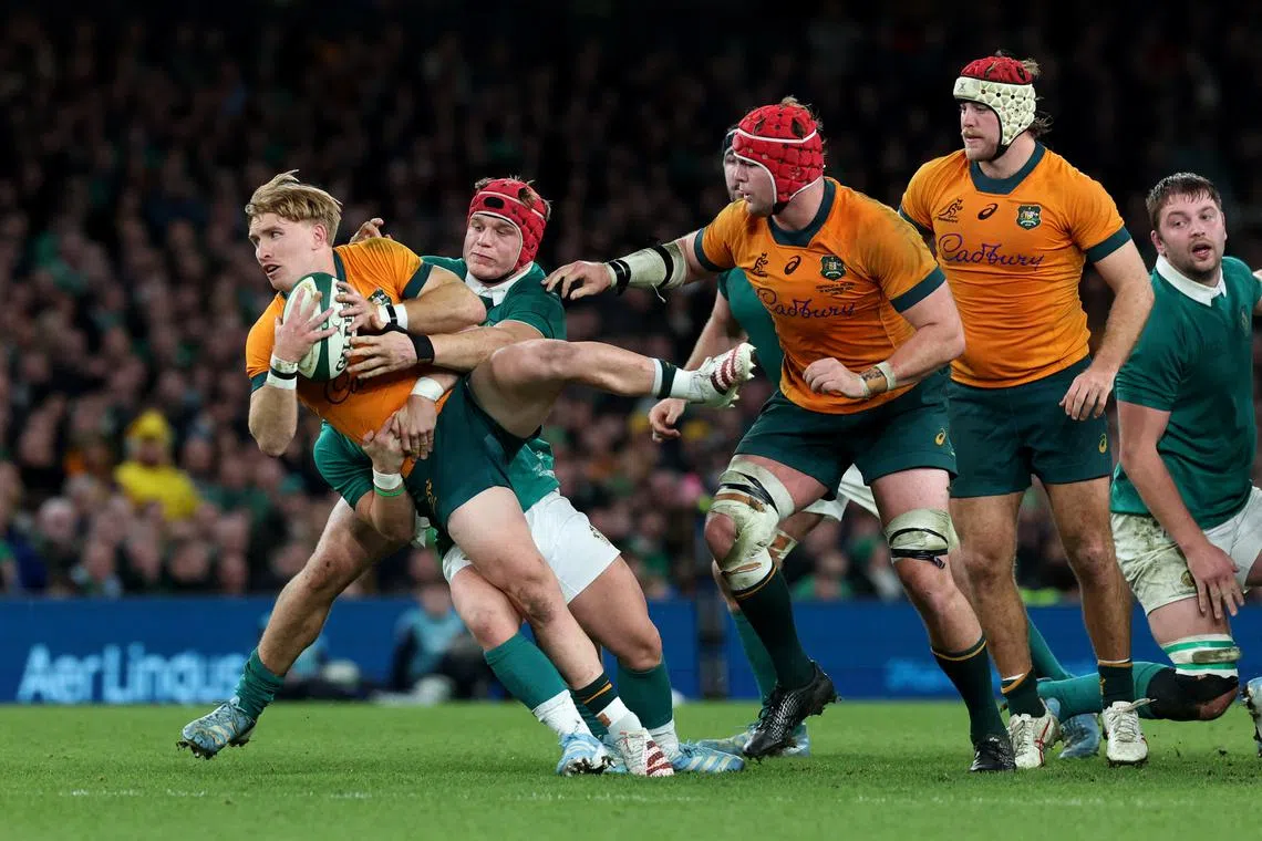 Rugby Union - Autumn Internationals - Ireland v Australia - Aviva Stadium, Dublin, Ireland - November 30, 2024 Australia's Tate McDermott in action as he is tackled by Ireland's Josh van der Flier and Craig Casey REUTERS/Lorraine O'sullivan/File Photo