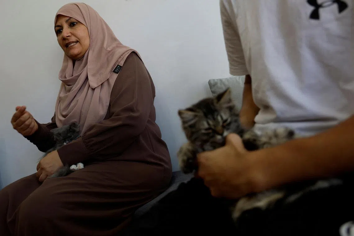 Palestinian Naima Maabad opened the first cat cafe at the Gaza Strip on Aug 17. 