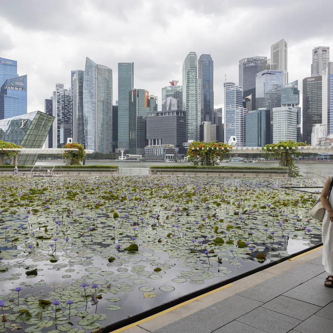 A new entity will be set up to consolidate the administration and governance of Singapore’s national payment schemes.