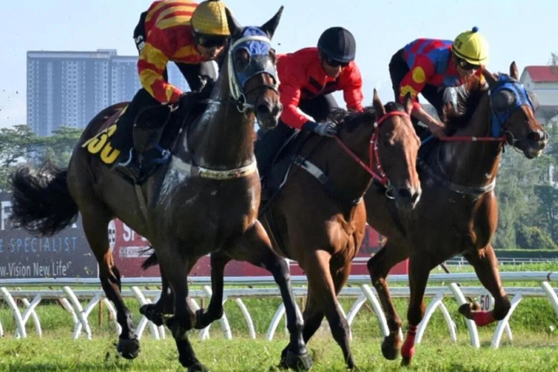 With his ears pricked, Pacific Energy (Bahauddin Sharudin), on the left, narrowly taking the first barrier trial by a short head from Banker's Dowager (Nuqman Rozi, not in picture) at Sungai Besi on March 17. On his left is Bintang Sixty-One (Jose de Souza) who finished third another length away.

