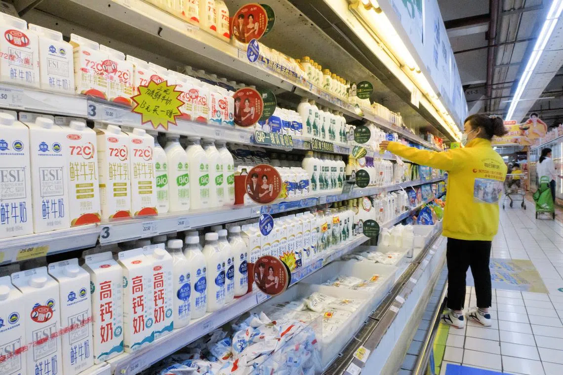 FILE PHOTO: A staff member arranges cartons of milk on refrigerator shelves at a supermarket in Beijing, China, May 21, 2021. Picture taken May 21, 2021. REUTERS/Thomas Peter/File Photo