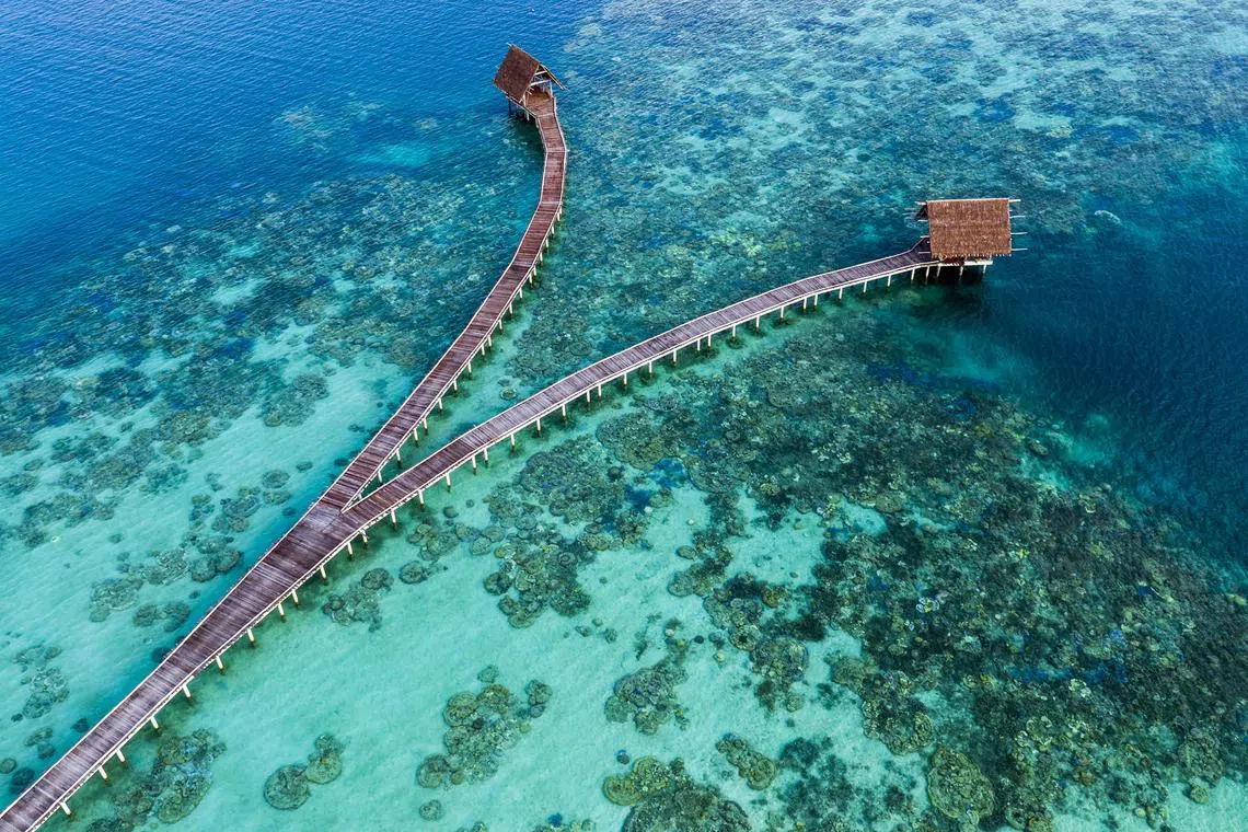 cbbawah29 -  aerial wooden jetty with thatched roof coral reefs lagoon.