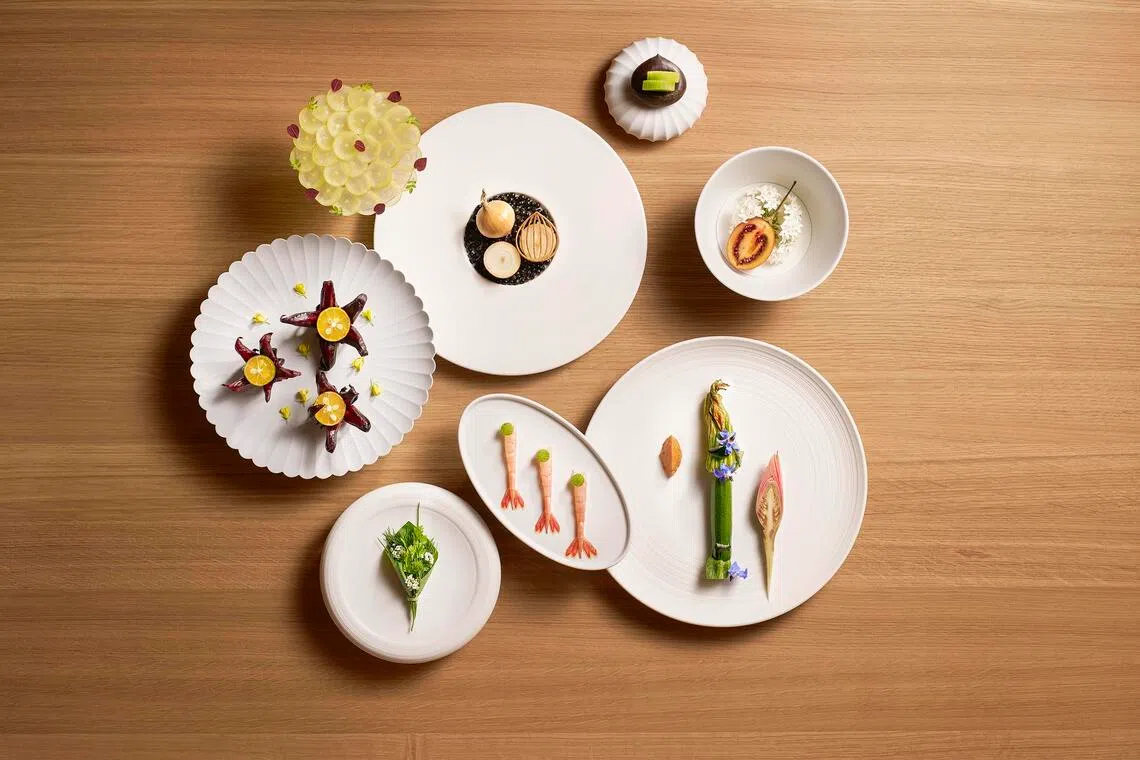 hyloca08 - Loca Niru Group Shot


Credit: JOHN HENG