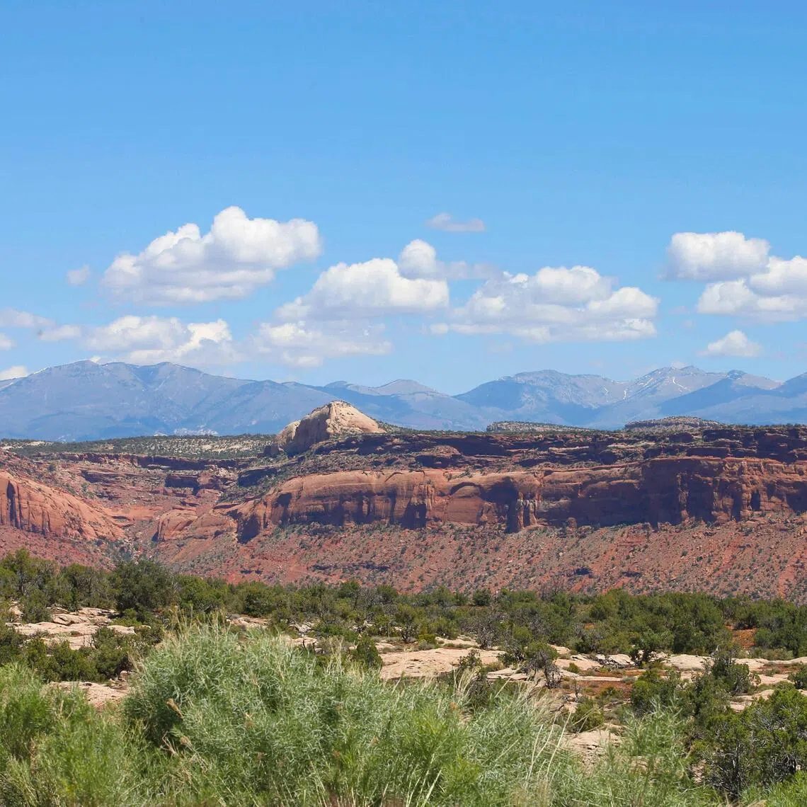 Bears Ears, which covers 1.35 million acres, was proclaimed in 2016 under president Barack Obama on the basis of its cultural sites sacred to Indigenous tribes.