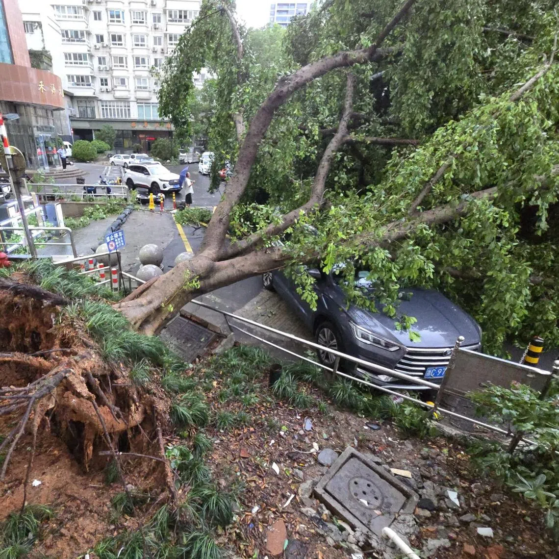 AI forecaster Fengwu predicted the time and place Typhoon Dolphin would hit mainland China to within 30 minutes and 30km.