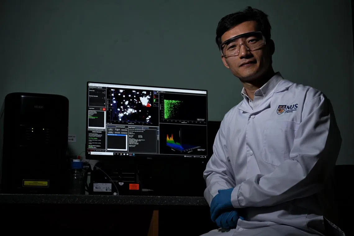 ST20241008_202454600102 aznano Chong Jun Liang
NUS assistant professor Wang Jiong-Wei using the Nanosight-NS300 in his laboratory on October 8, 2024 A team from the NUS Yong Loo Lin School of Medicine (NUS Medicine) has developed a groundbreaking technology which uses nanoparticles to diagnose and treat atherosclerosis, or the buildup of plaque in arteries. The researchers use specialised equipment, the Nanosight-NS300, to examine the size, uniformity, and concentration of the nanoparticles to assess their suitability for diagnosing and treating atherosclerotic plaque. A syringe is used to inject a sample with the synthesised nanoparticles into the equipment, and the team is able to observe the size, uniformity, and count of the synthesised nanoparticles in the sample on a screen.