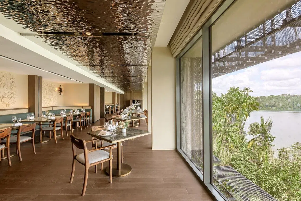 eqpicks17 - Forage Interiors_Mandai Rainforest Resort by Banyan Tree.

Source and copyright: Mandai Rainforest Resort by Banyan Tree
Condition: Free
Float: LIFE