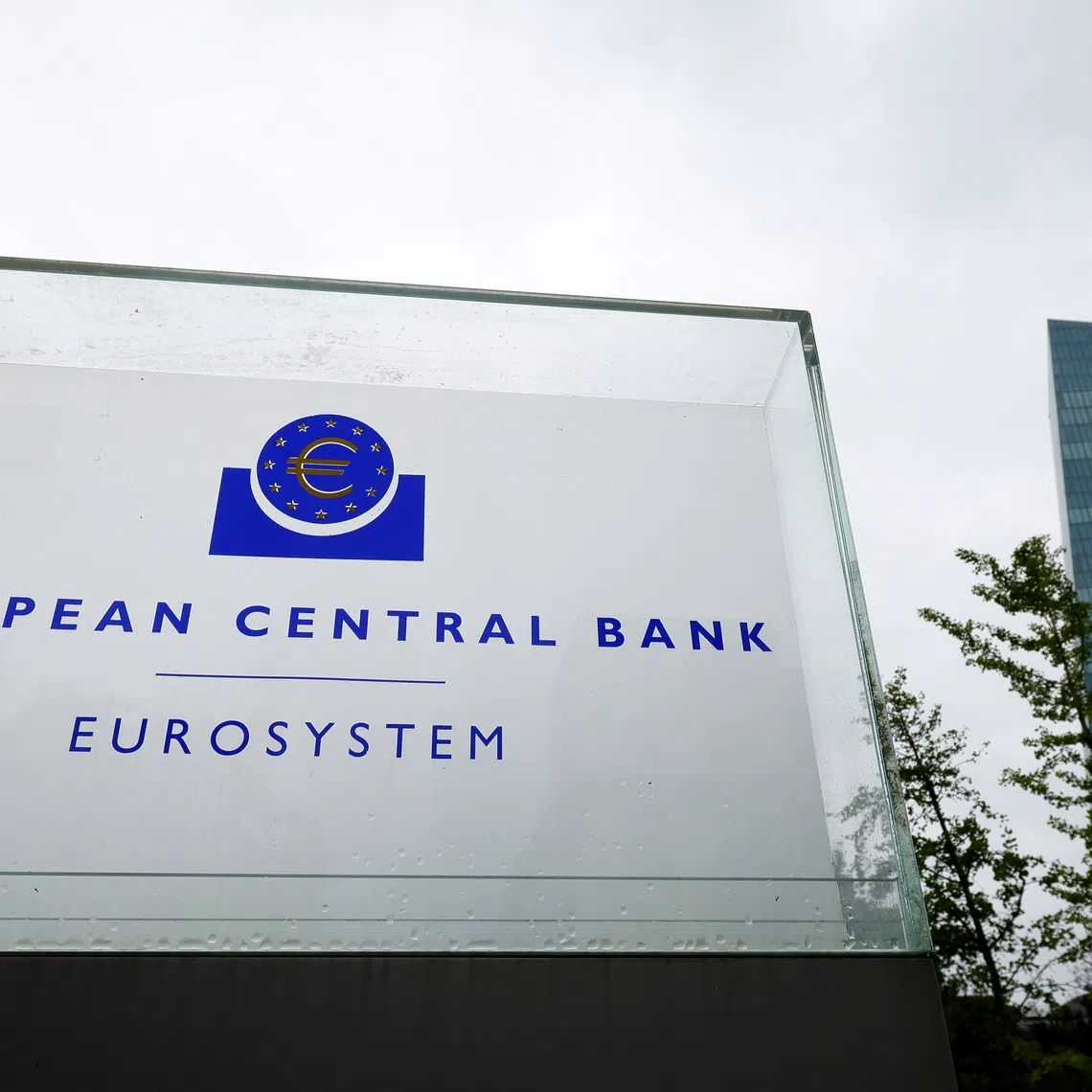 Service sector activity accelerated and demand conditions improved in the euro zone economy in October.