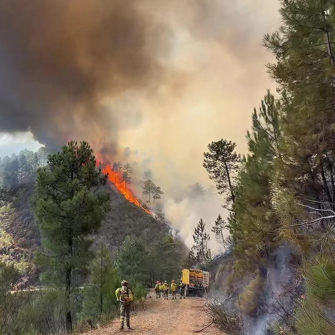 Under a high emission scenario, by 2100 nearly 192 per cent more land would be burned per year – almost triple the area affected now.