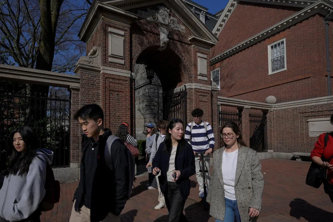 Students walk on the campus of Harvard University in Cambridge, Massachusetts, U.S., April 15, 2025.   REUTERS/Faith Ninivaggi