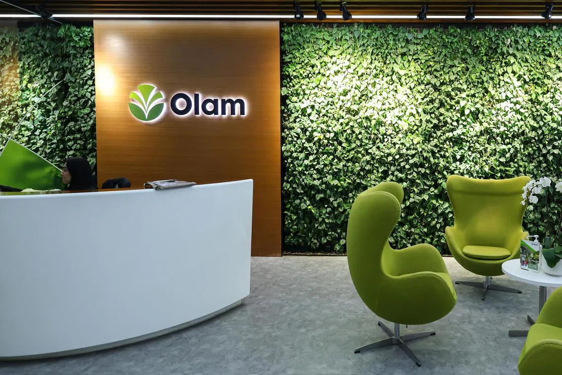 Olam said its board has directed the audit committee to “nevertheless conduct a review of the matter”. 