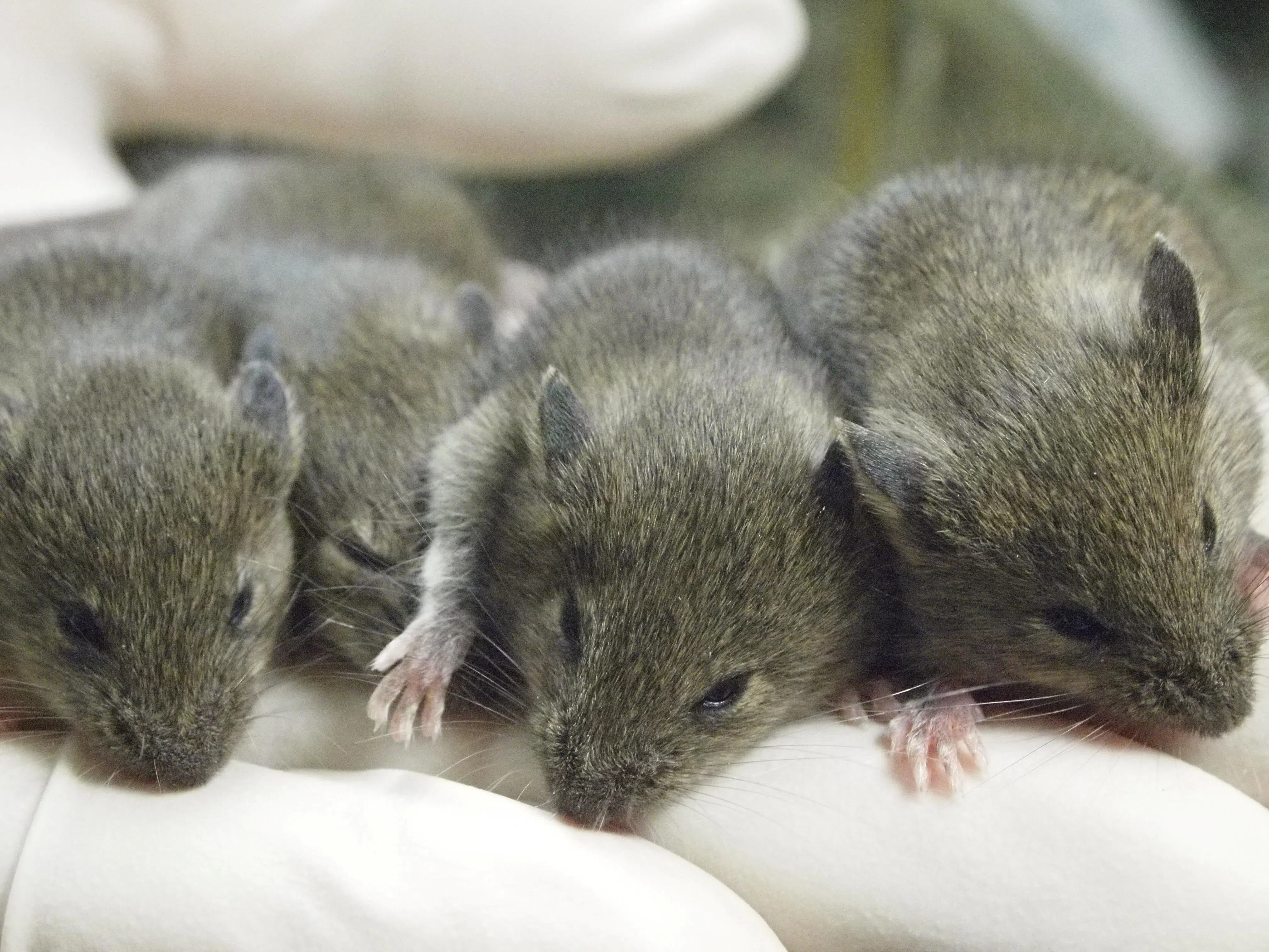 90e167a1fd722c6a5f265dc55d1b23b88d8958f733c3933bfe083b413962cf58