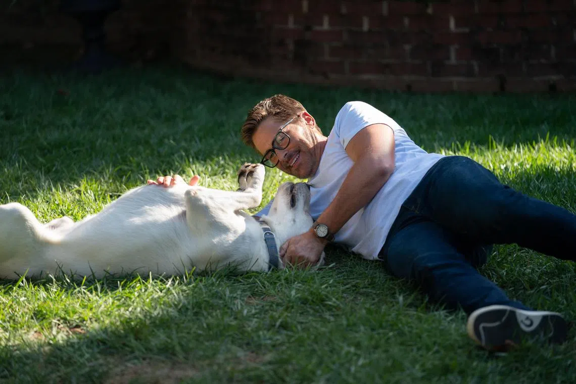 adlowe23 - Rob Lowe in Dog Gone




Source/copyright: Netflix