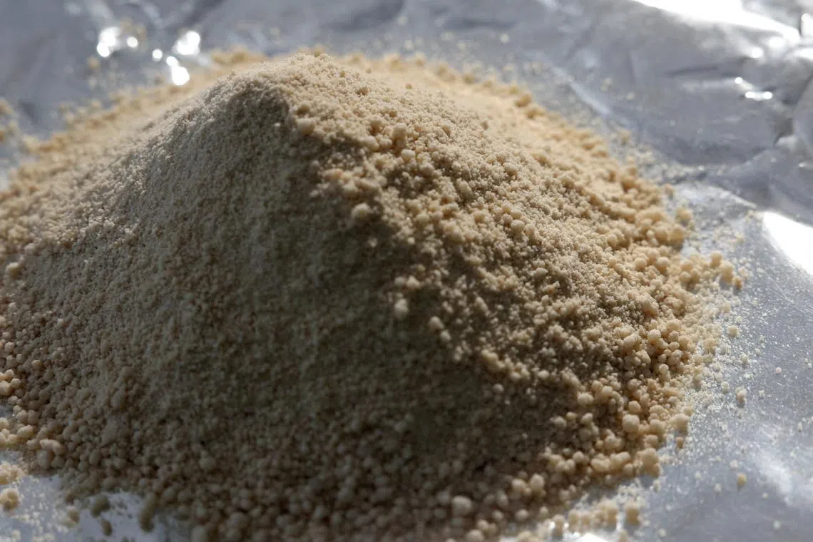 FILE PHOTO: Fentanyl precursors are displayed at Reuters' office in New York City, U.S., July 10, 2024. REUTERS/Andrew Kelly/File Photo