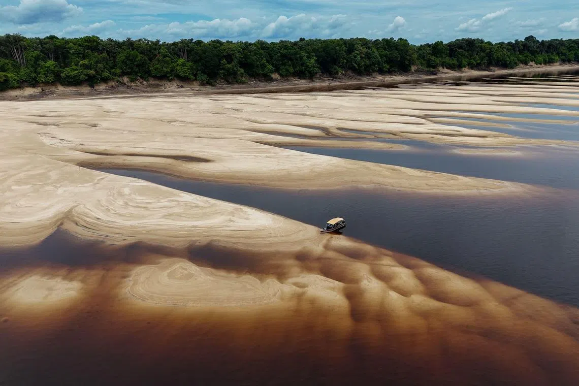 Aerial view of a sandbank on the bed of the Negro River, in the Anavilhanas Archipelago, in Novo Airao, Amazonas state, northern Brazil, on October 1, 2024. River sediments are a valuable carbon sink. Along with soils and dead vegetation, they lock away more planet-warming carbon dioxide caused by humanity than trees, a study published on March 20, 2025, says. (Photo by Michael DANTAS / AFP)