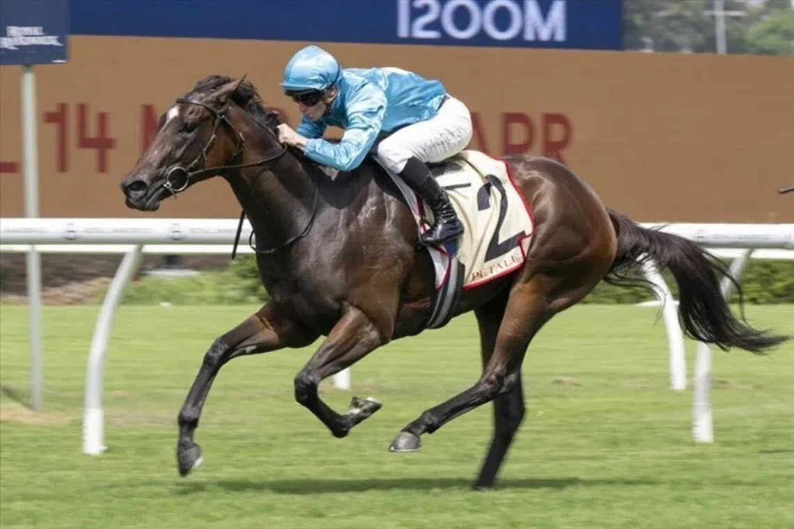 Singapore owner gets Golden Slipper ticket