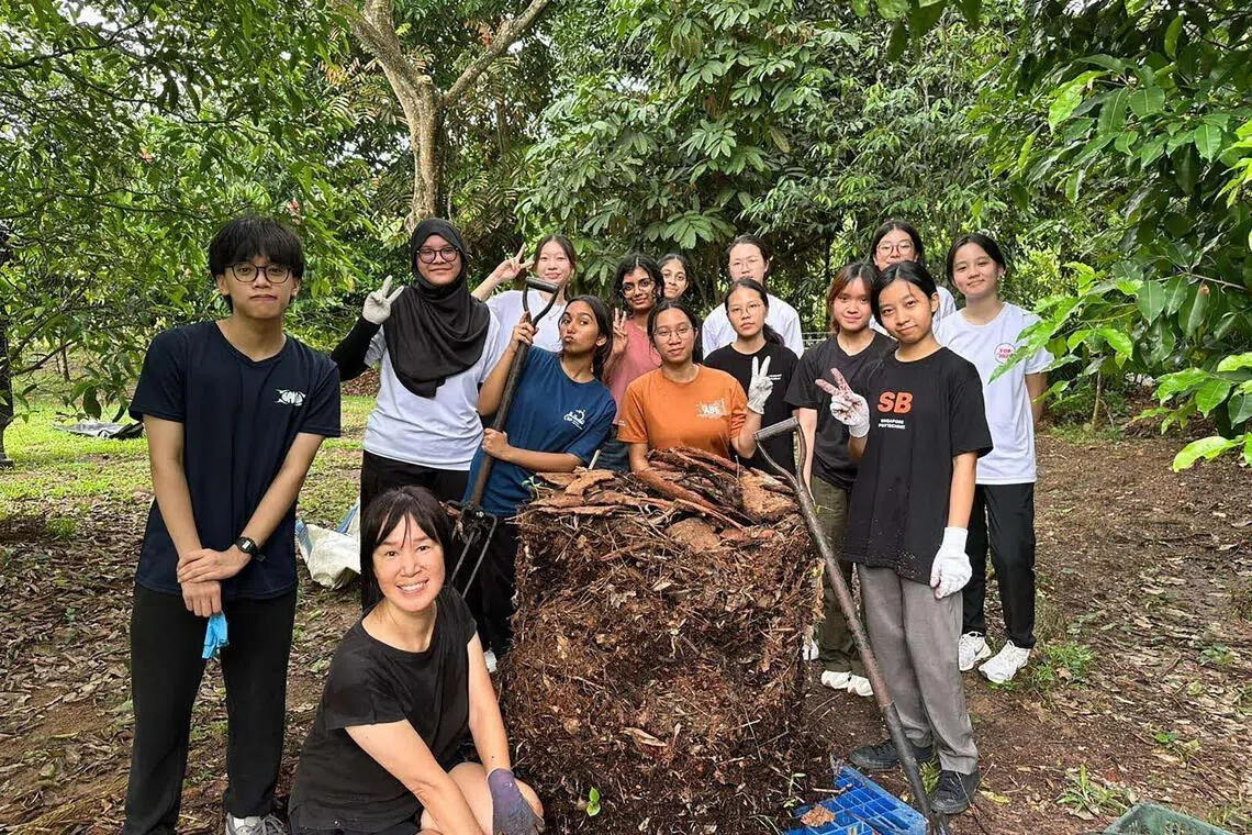 Community Composting at the Jurong Lake Gardens takes place every Saturday morning.