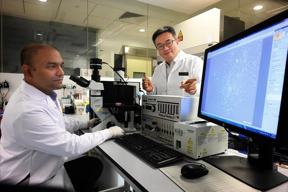 Chrishan Ramachandra (left) and Derek Hausenloy are the deputy director and director of the Centre for Integrative Human Cell Research and Translation (CIPHER).