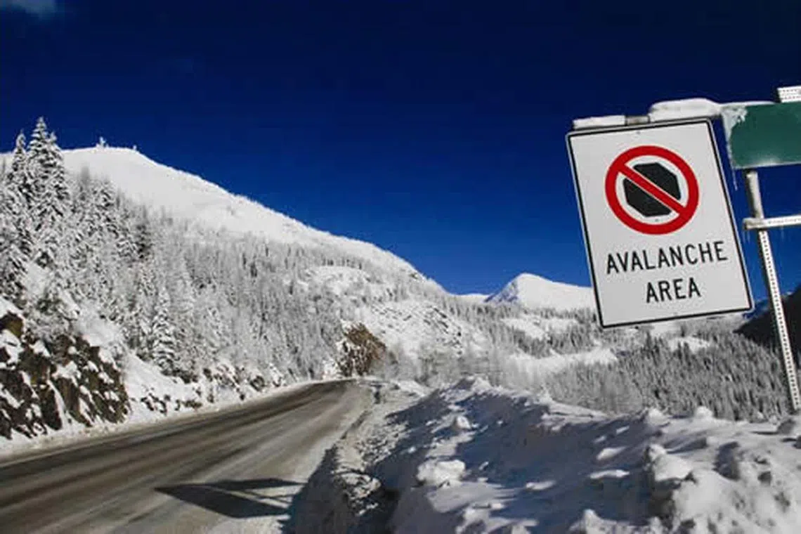 A dozen people have now died in avalanches in British Columbia in 2023, making it one of the province’s worst years on record for avalanche deaths.
