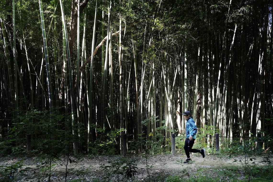 Yasuhiro Makoshi trains near his home in Nagakite, Japan on Oct 28, 2022.