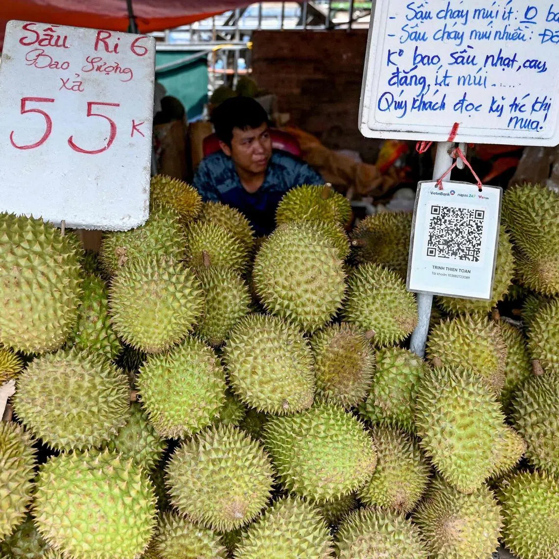 China is Vietnam’s largest destination for durian export.