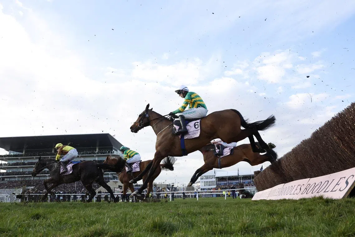 FILE PHOTO: Horse Racing - Cheltenham Festival - Cheltenham Racecourse, Cheltenham, Britain - March 14, 2025 Inothewayurthinkin ridden by Mark Walsh on their way to winning the 16:00 Boodles Cheltenham Gold Cup Chase REUTERS/Peter Cziborra/File Photo