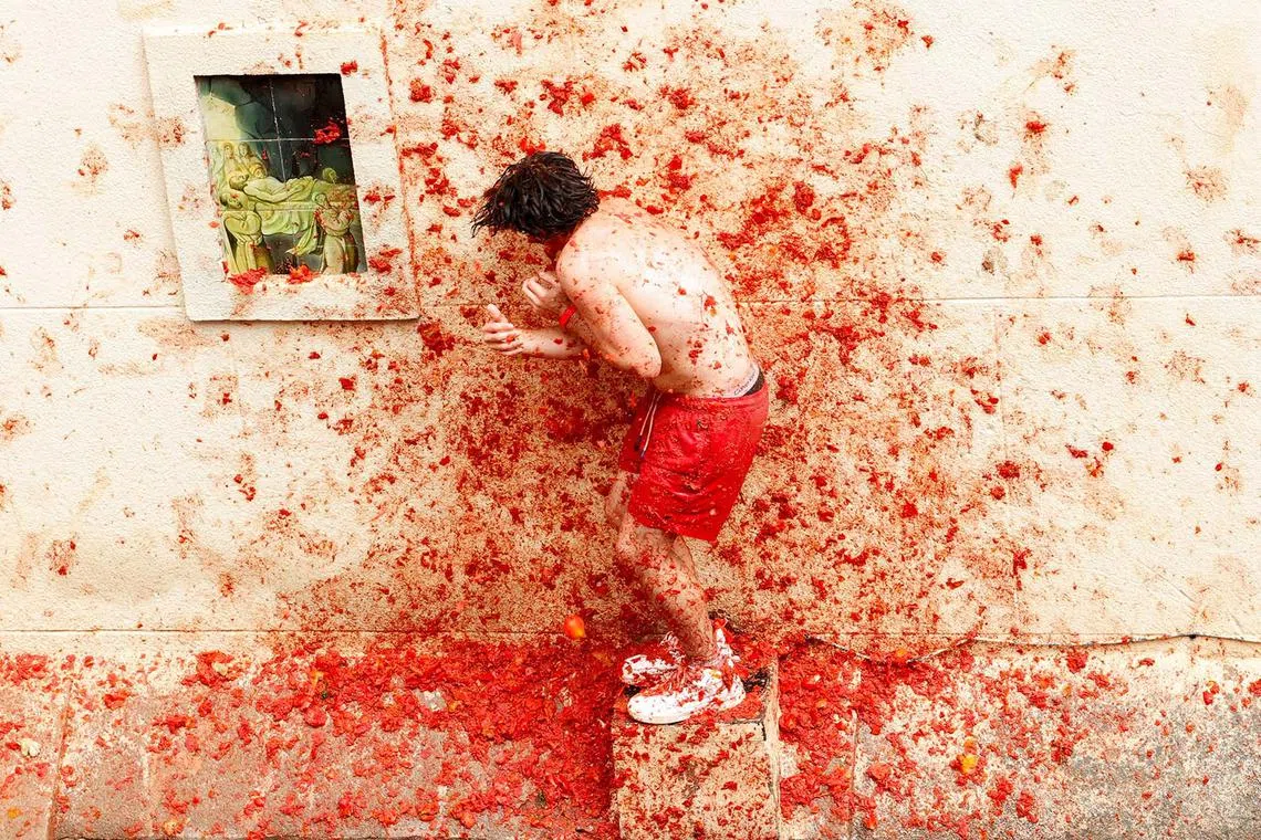 A reveller taking cover against a wall spattered with tomato pulp during the annual La Tomatina food fight festival in Bunol, near Valencia, Spain, Aug 27, 2025. 