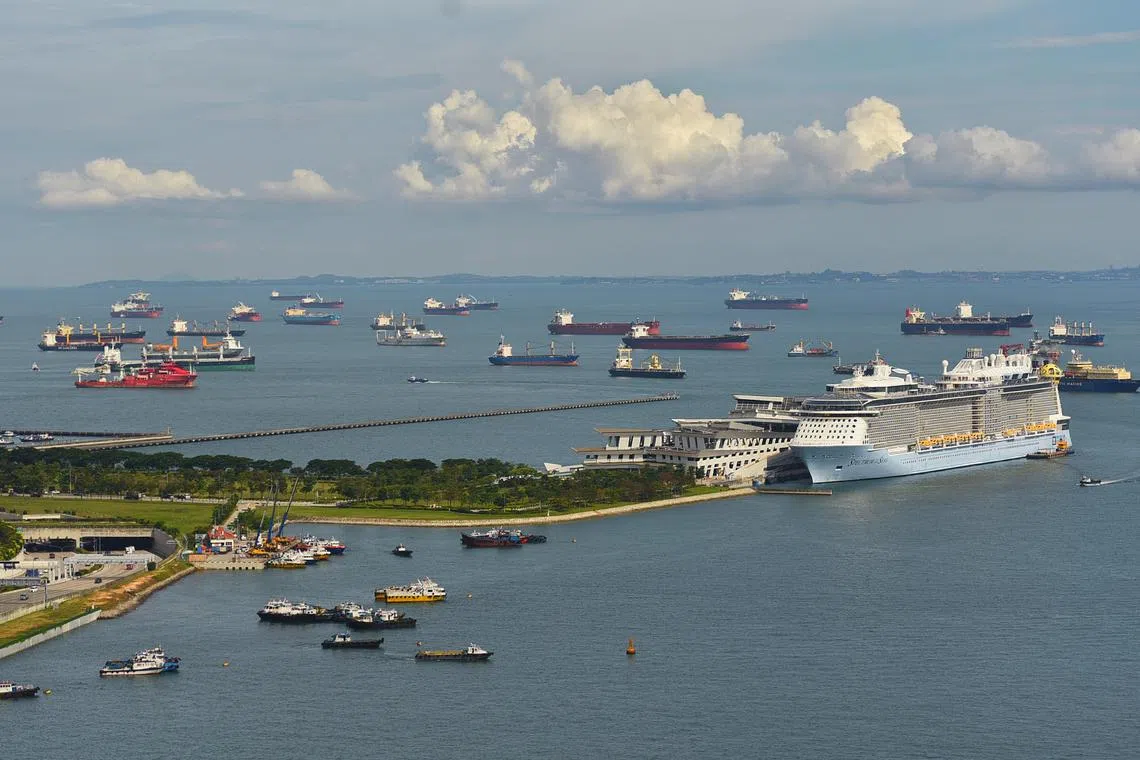 Pixgeneric / Generic picture taken on 17 October 2022 of Marina South Wharves on the far left and Marina Bay Cruise Centre Singapore ( far right ) with Spectrum of the Seas currently operated by Royal Caribbean International . Developed by MPA at a cost of $16 million, MSW will complement the existing lighter terminal at Penjuru, said the maritime government agency in a release. "MSW will be particularly useful for lighter operators serving ships in the Eastern anchorages, given the shorter travelling distances and thus lower operating costs," the MPA added. “The lighter industry provides a vital service and is an integral part of Maritime Singapore. The lighter facilities serve as a conduit for the delivery of critical ship stores and supplies to vessels in the Port of Singapore. MSW will provide quicker access to Singapore’s Eastern anchorages and this will allow for cost savings while boosting service levels," said Mr Lam Yi Young, Chief Executive, MPA.