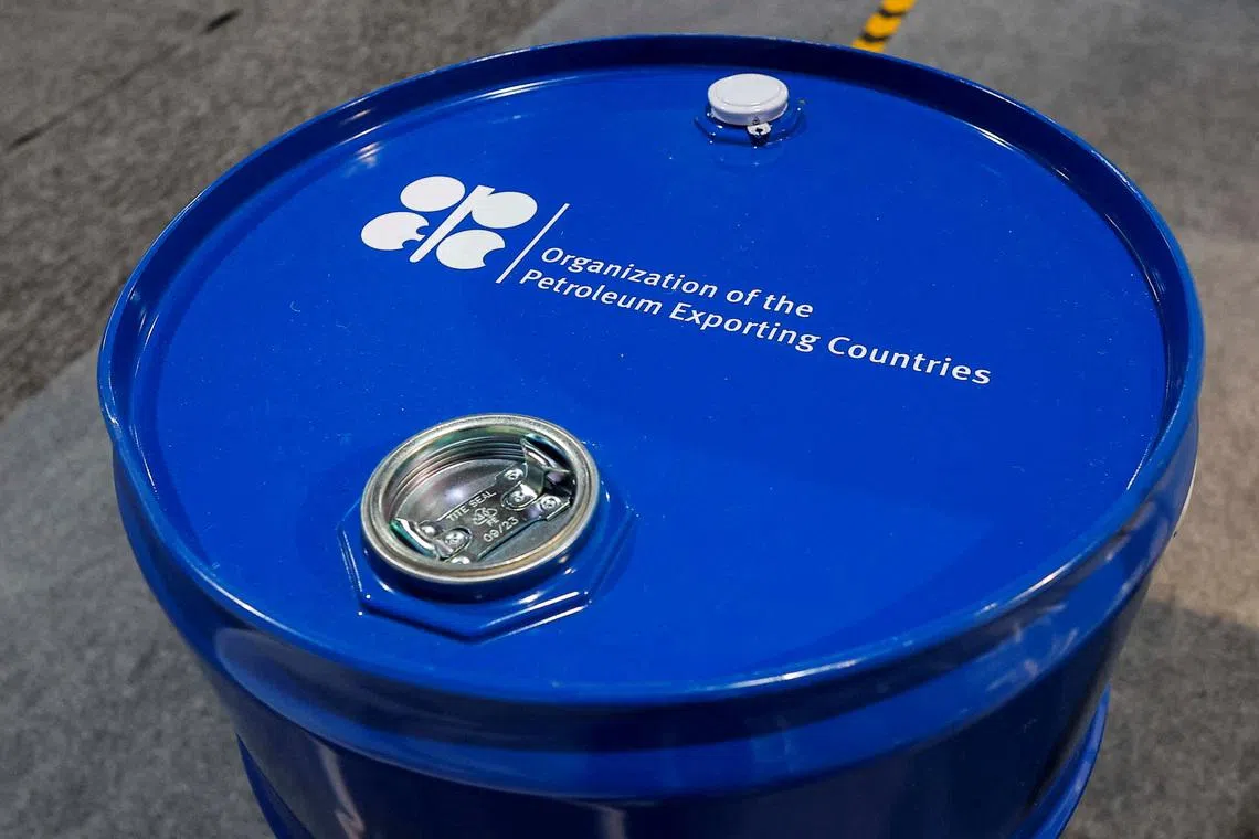 Explainer-What is OPEC+ and how does it affect oil prices?