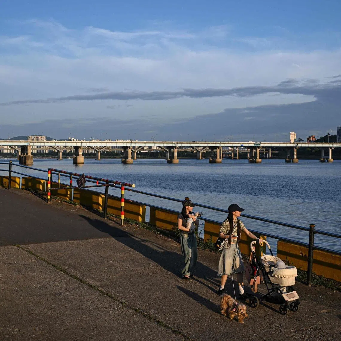 Seoul’s Han River, a landmark of the glittering capital, is a frequent scene of despair in a country with one of the world’s highest suicide rates.