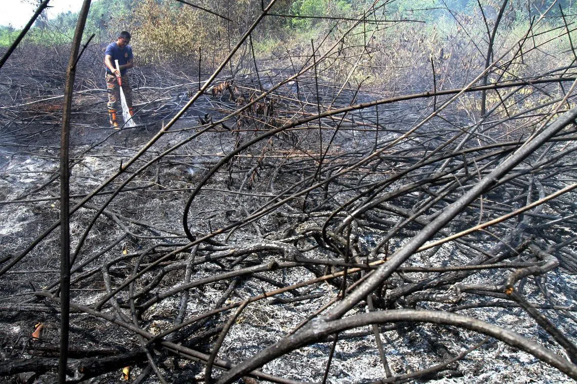 Over 3,000 open-burning incidents have been recorded in Johor since January 2026.