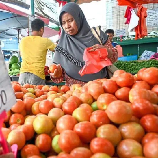 The prices of tomatoes have increased to over RM5 (S$1.57) per kg as compared to RM2 and RM4 per kg previously.