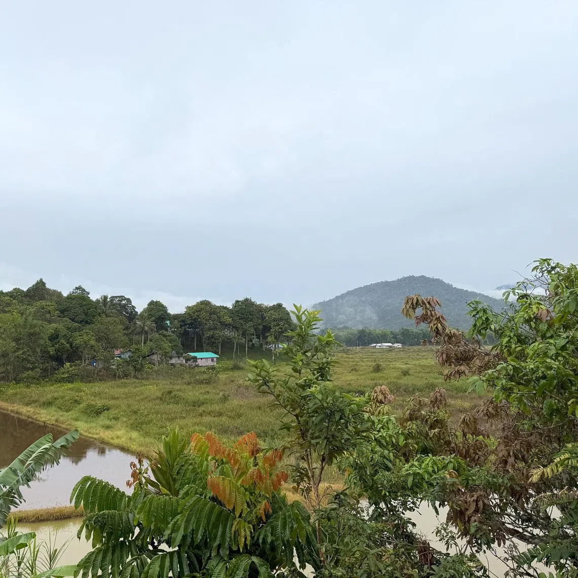 Bario in the Sarawak highlands has a gentle pace.