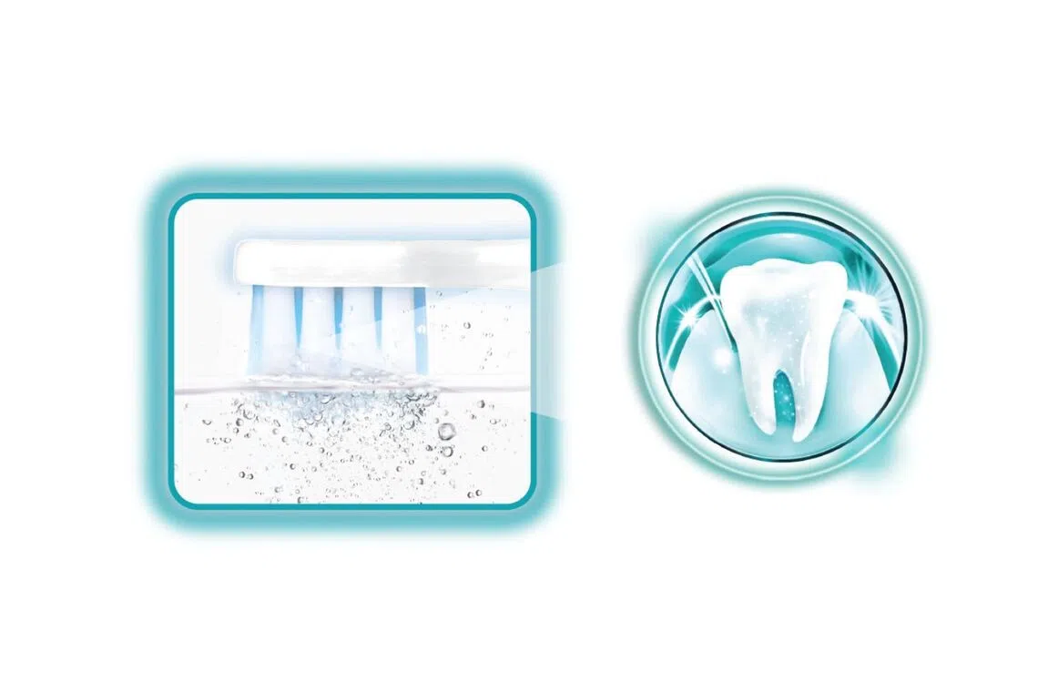 Systema Smart Ex Power Rechargeable Toothbrush, toothbrushing, gum health