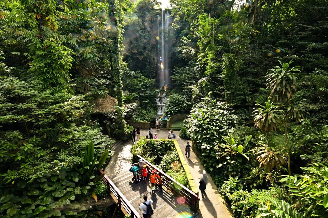 Staff and visitors share their fondest memories of this iconic wildlife park  from its rustic charms to entertaining shows. The park closed on Jan 3 ahead of its relocation to Mandai.