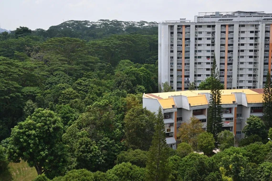 At Maju Forest, more greenery has been set aside at the southern part of the site to create a wider and more contiguous green area.