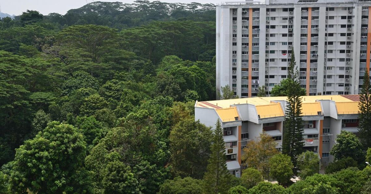 New nature park, better connectivity for wildlife in updated plans for Maju Forest, Gillman Barracks