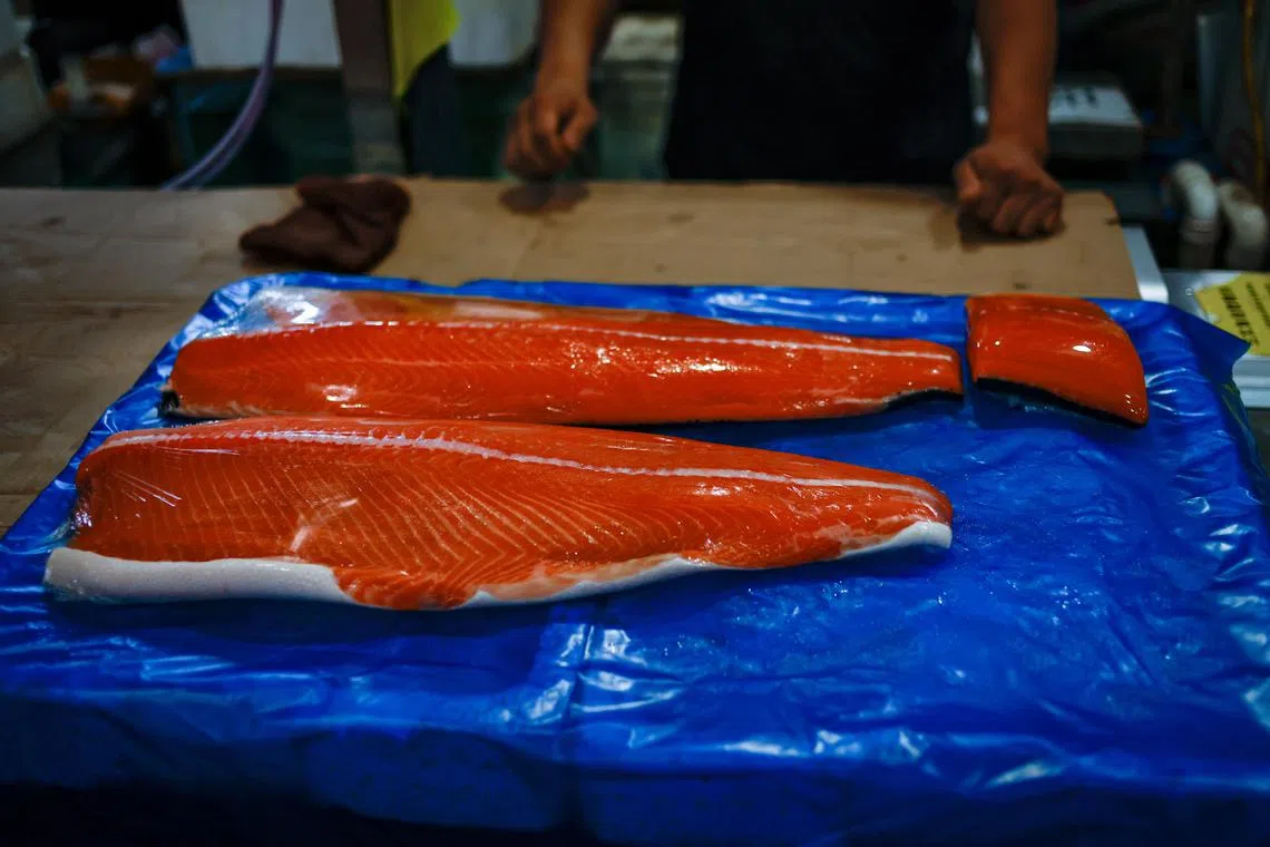 epa10733481 Salmon is on display at a seafood marketplace in Beijing, China, 08 July 2023. Chinese authorities will ban food from certain prefectures of Japan for safety reasons following the decision by the International Atomic Energy Agency (IAEA) to release nuclear wastewater from the Fukushima power plant into the Pacific Ocean. China customs said it will tighten its inspection on food imports, especially seafood from Japan.  EPA-EFE/MARK R. CRISTINO