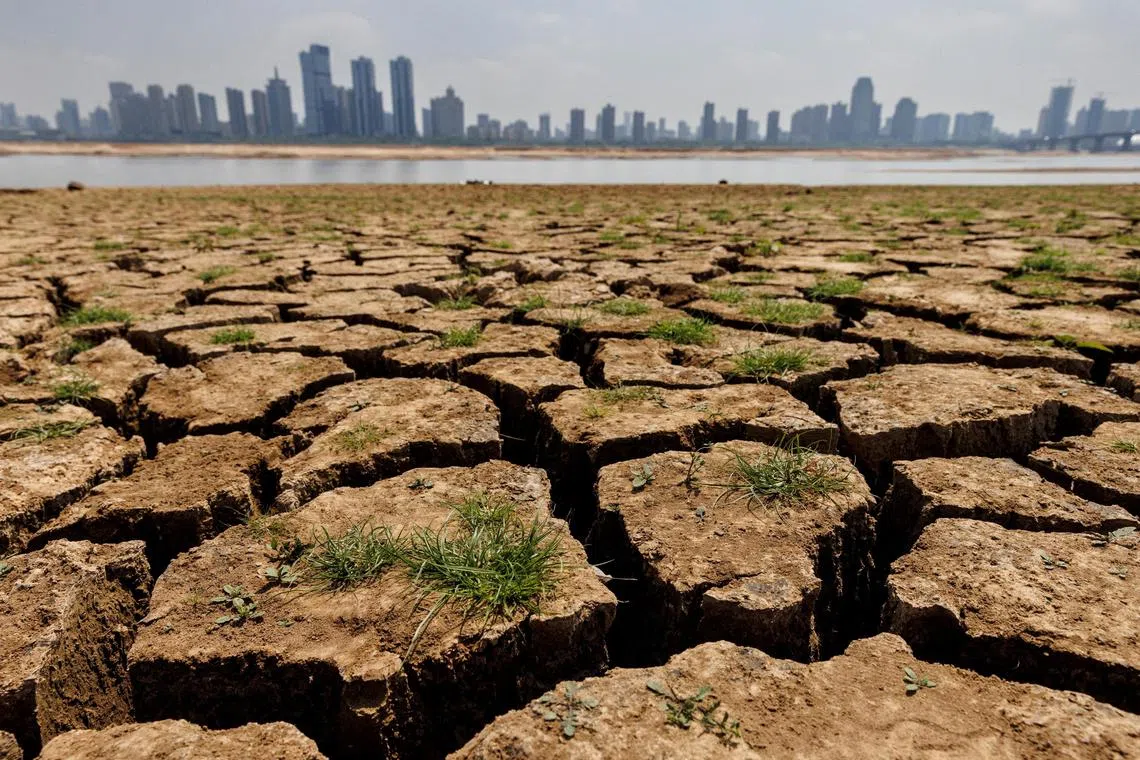 There had been warnings in 2023 could take the title of hottest year from 2016, but this marks the first time it has been confirmed.