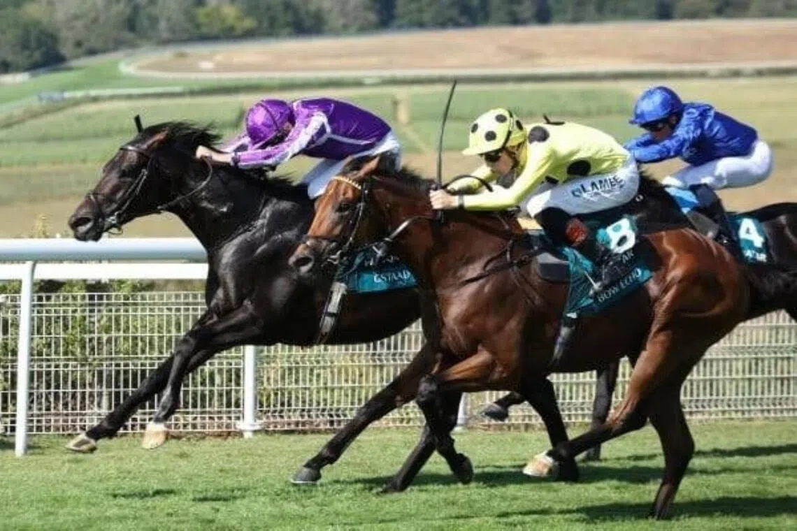 Bow Echo (Billy Loughnane) leaving it late to deny arch-rival Gstaad (Ryan Moore) success in the Group 1 Sussex Stakes (1,600m) at Goodwood on July 29.
PHOTO: GOODWOOD RACECOURSE